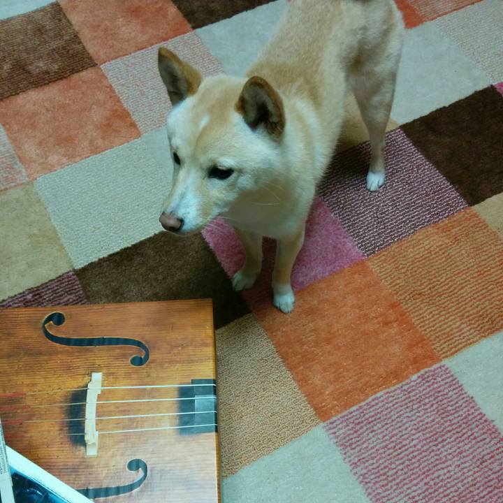 1622ec31 1d1e 4ff1 b721 d86fc1f7aa97 1512127822879