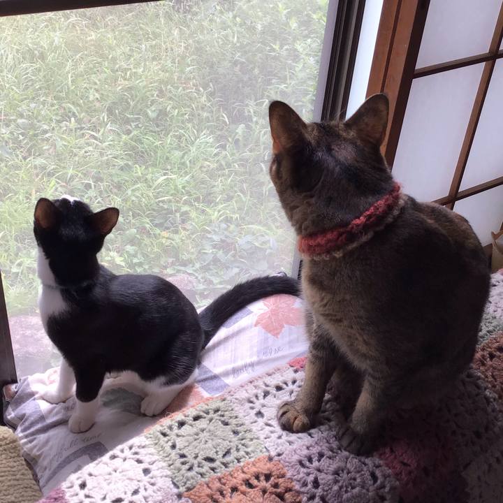 16233507 3838 47d5 82a1 2da3d7735929 1632277636373