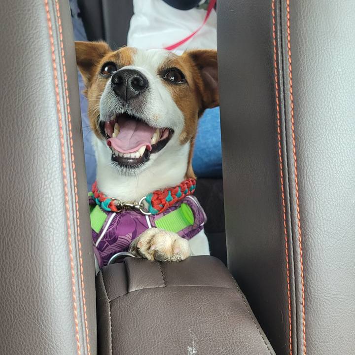 16237af8 3e52 4711 b495 257ba11d077a 1714393148530