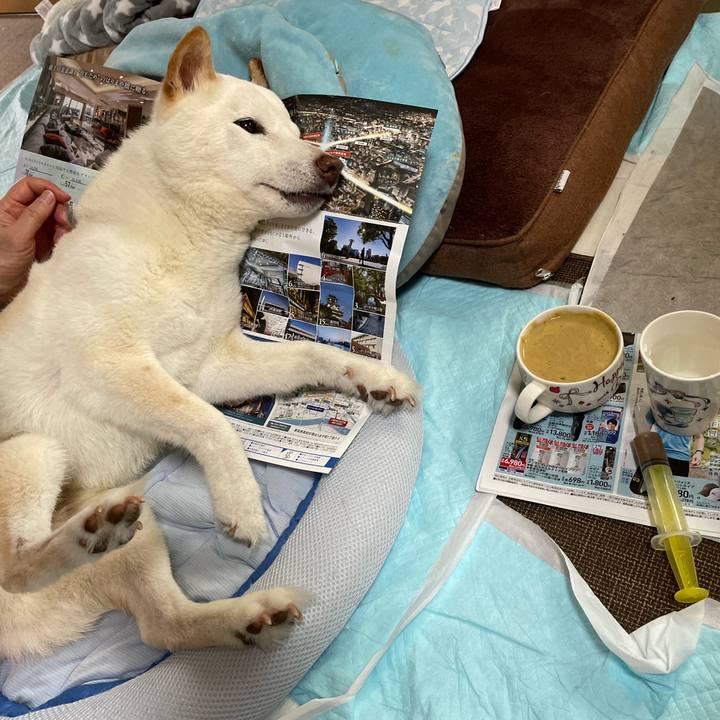 16239e87 f5d5 4677 892a 3a256a6a2045 1654876494065