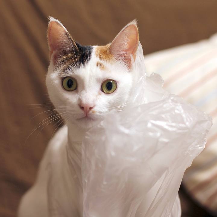 1623f18c 3e9b 4ddd b76b 58edb318ae85 1567378662392