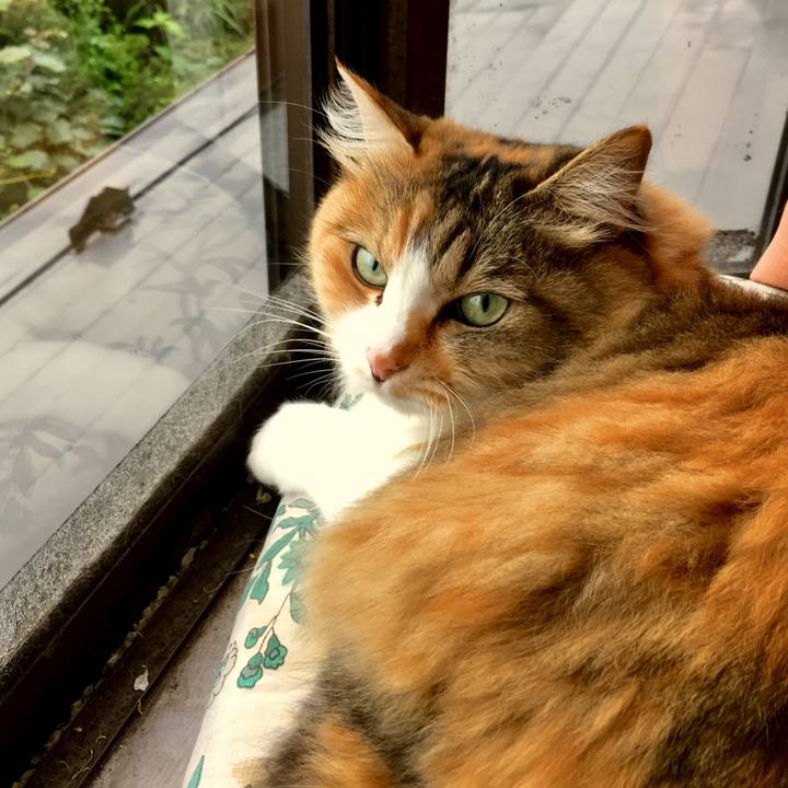 1623f434 af0c 4593 aa4f 5536c3ace932 1561953931384