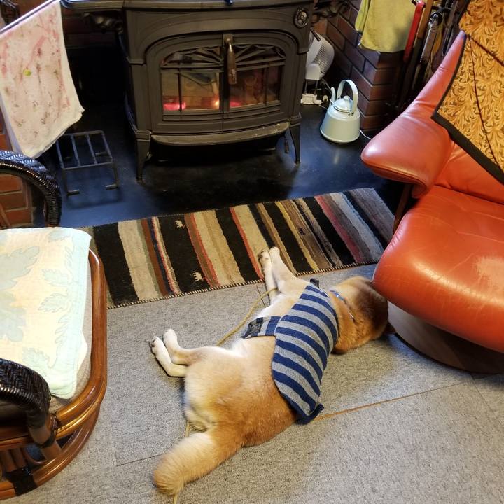 1623f4bf fc40 43f7 9cce c9684c82e749 1578446456114