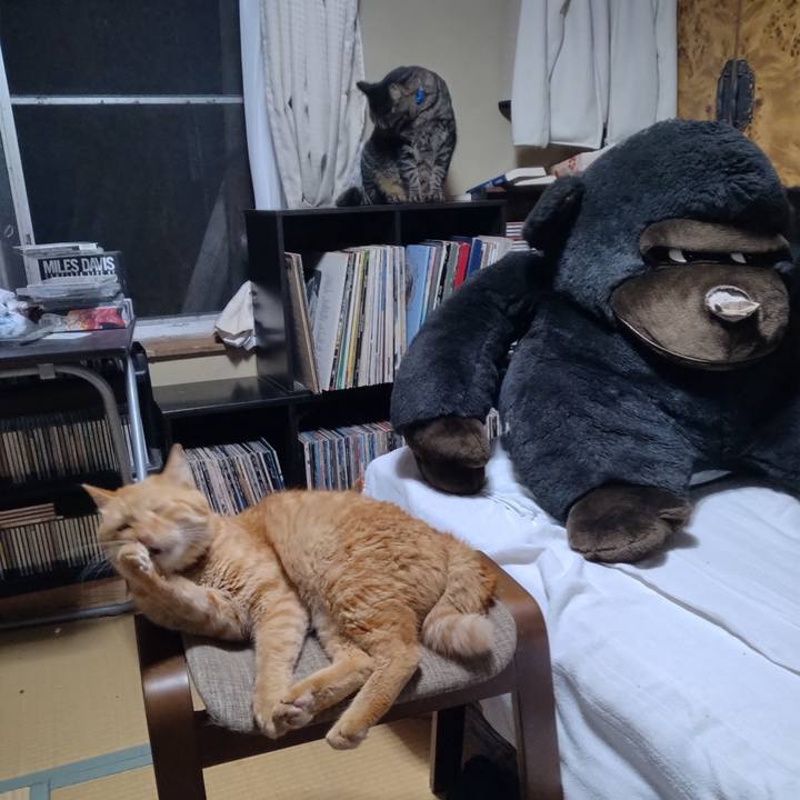 162418fc bb4b 417d bea9 b05a349cc843 1693568665601