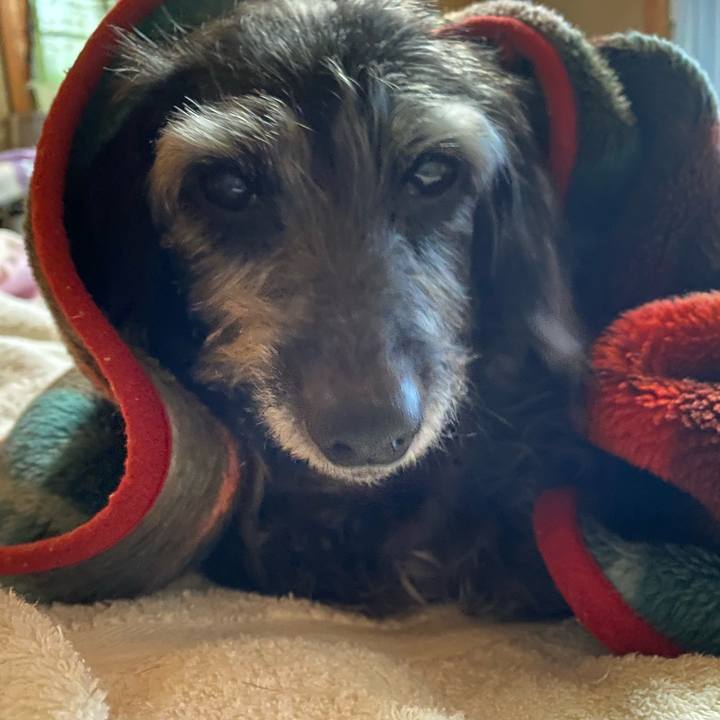 16242e09 12b8 4f05 a8d6 43483c2c145d 1698014325394