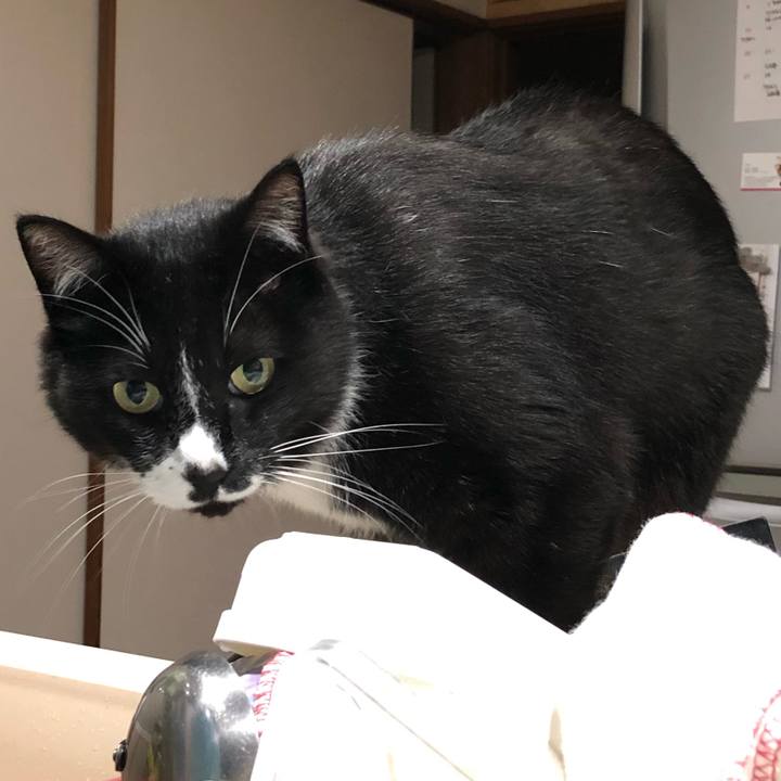 1624434b e420 4d63 892f 6103022d1278 1623986623376