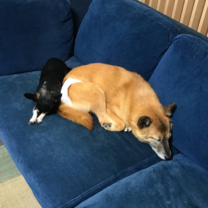 16247bdd 1343 45e2 bc57 c6ae17af6ada 1537493759718