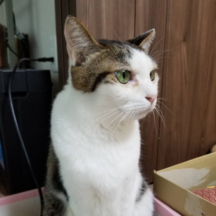 1624b252 badf 43de 8c0b 6285ae0d4f2c 1620941894988