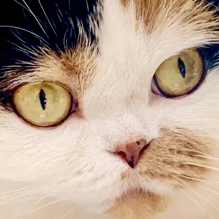 1624c6c5 e137 4bba a690 a7fd4d659676 1569024839088