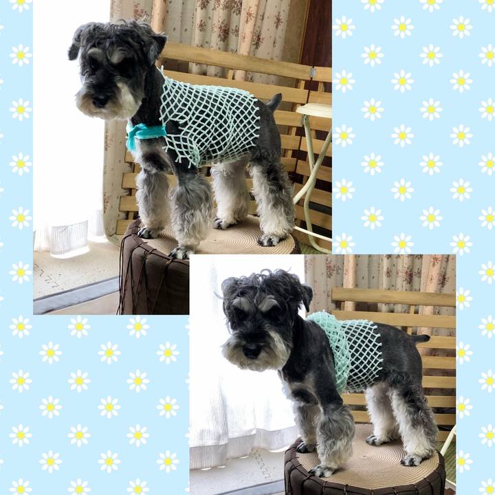 1624c79a e8bb 4ba2 a9e6 28262704eab6 1660820433677