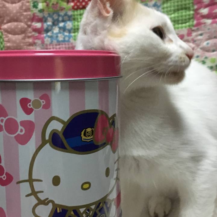 1624da72 2d5e 4977 bfee 725f6bbc4a4e 1535460651893