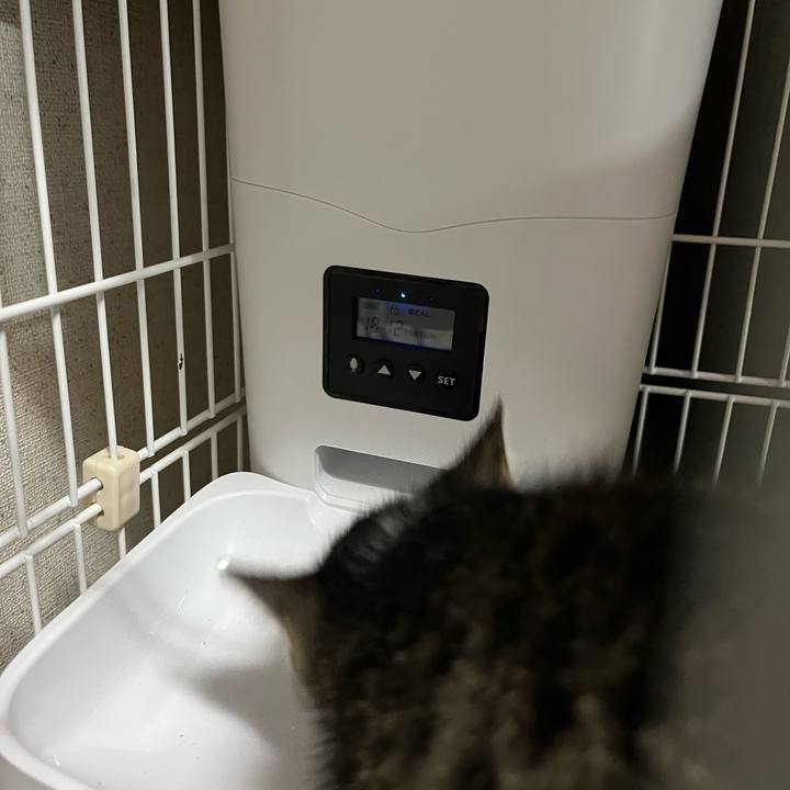 1624dfaf b4b6 4e3a b685 e3fa55e4d264 1765017060388