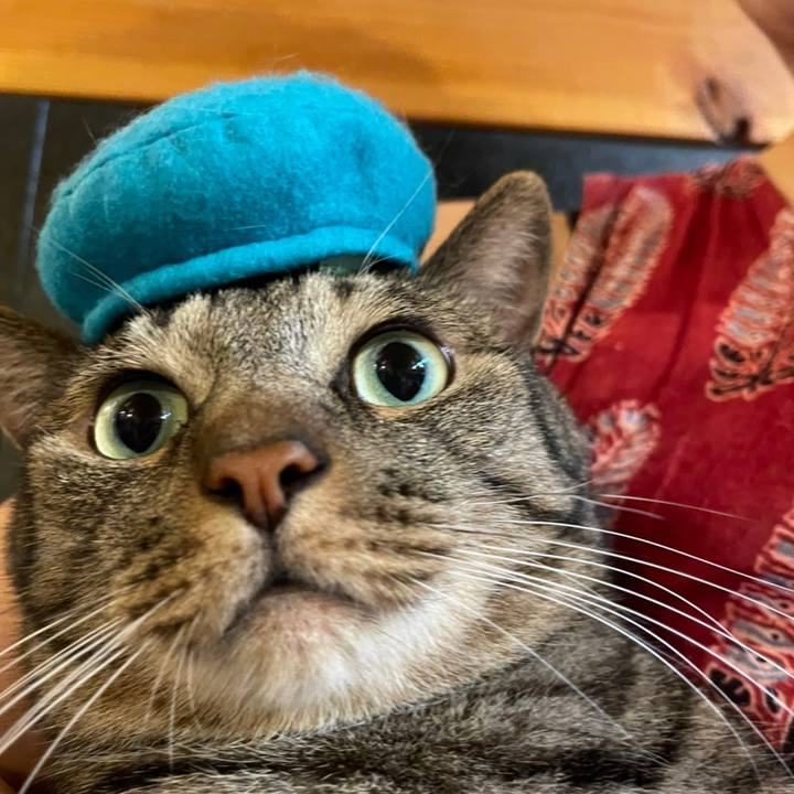 1624f16a 1201 4d77 bbb5 c19d6fb7d3b3 1633754363398