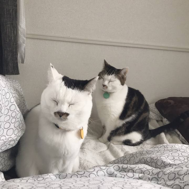 1624f6e4 dbe0 43ef 8846 e4310d5fb9db 1547528418604