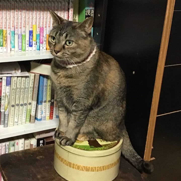 16251589 f985 4274 bad4 9025d058b5f4 1714555263176