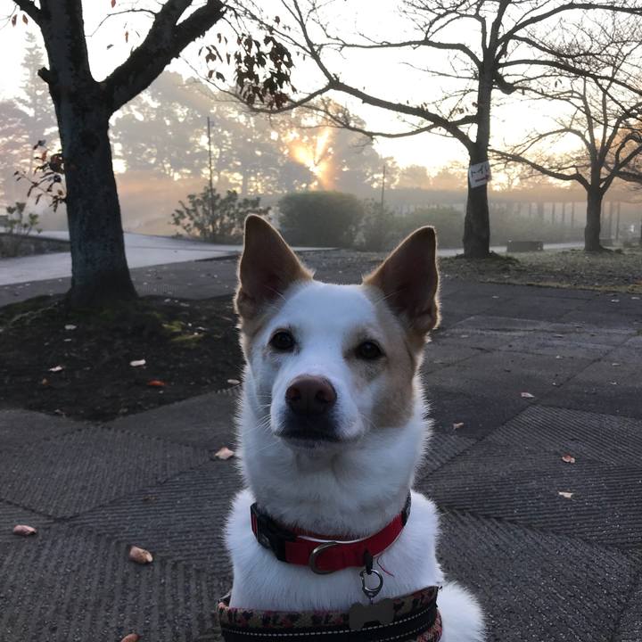 16251baf f249 4155 86b7 bc8f39685420 1510799597197