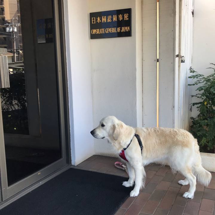 162527df 5eb3 4522 93d2 64c64f6660d3 1553929773750