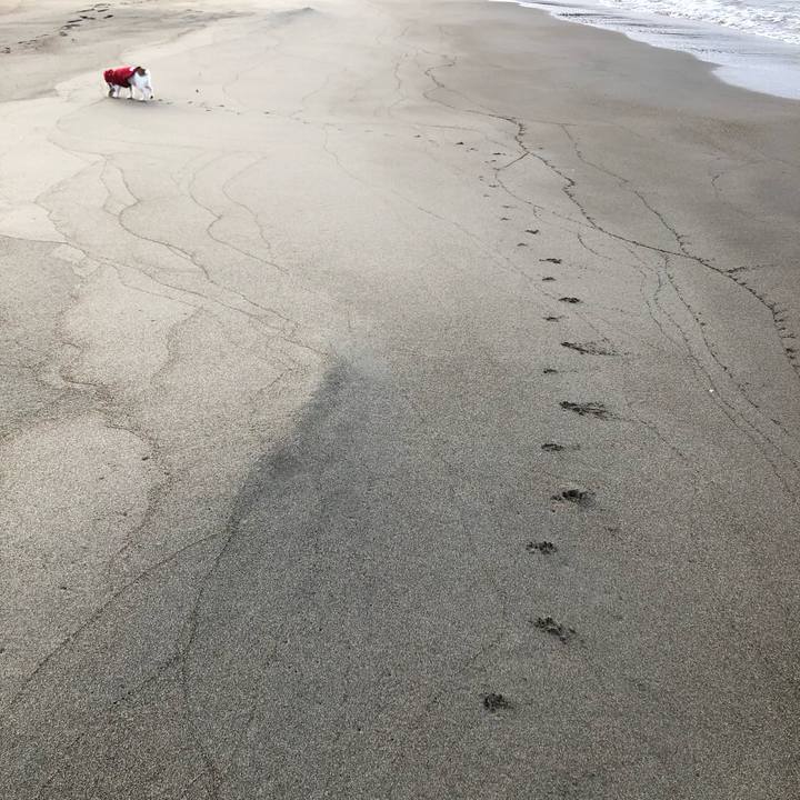 16256dca ac10 4c23 b010 3482020f82e9 1609197581253