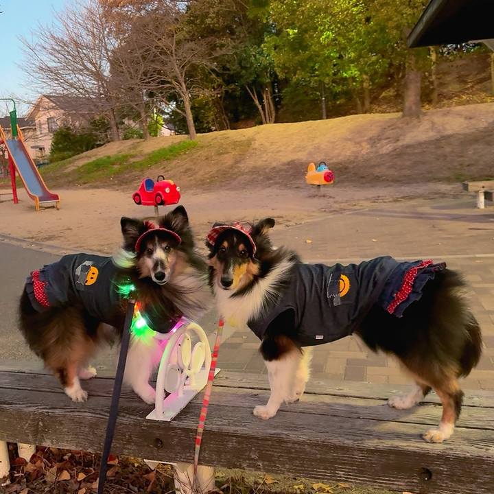 1625a50b ad53 4467 9812 46aeaaeebab6 1764781516847