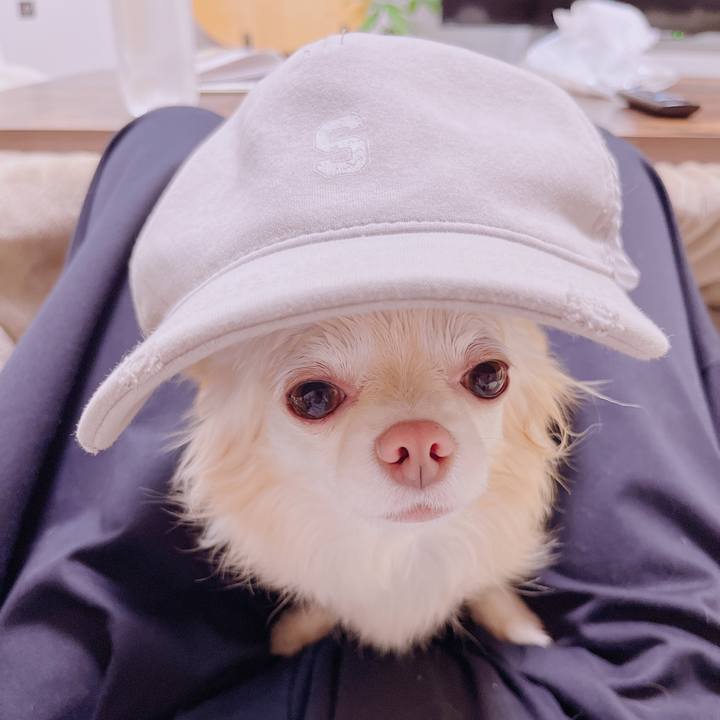 1625b43e 4dc4 4e67 a213 d1c4c2533a58 1680053227763