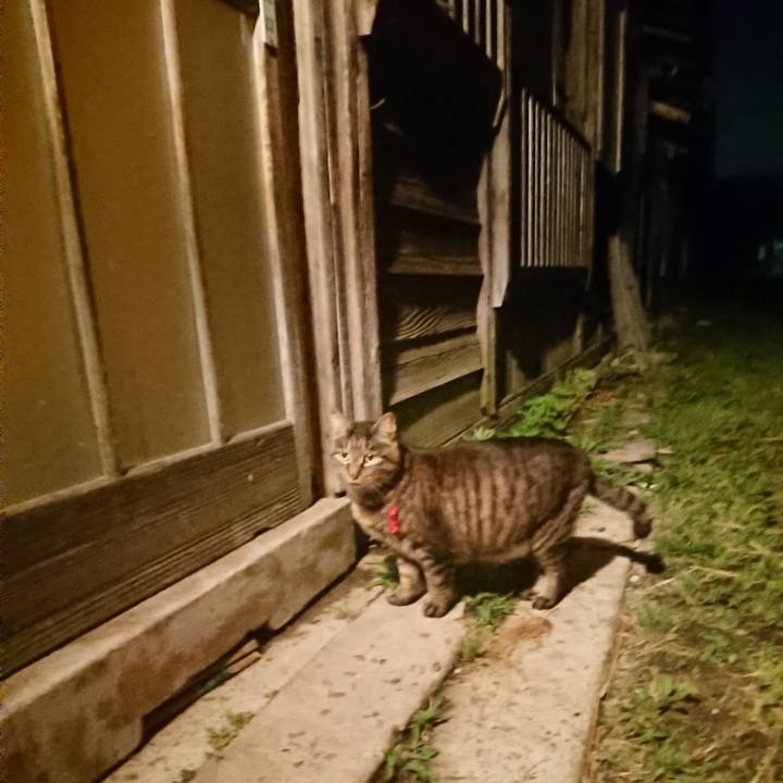 1625c8d7 cea2 459d a4c9 287b7d9c8d0b 1654688316659