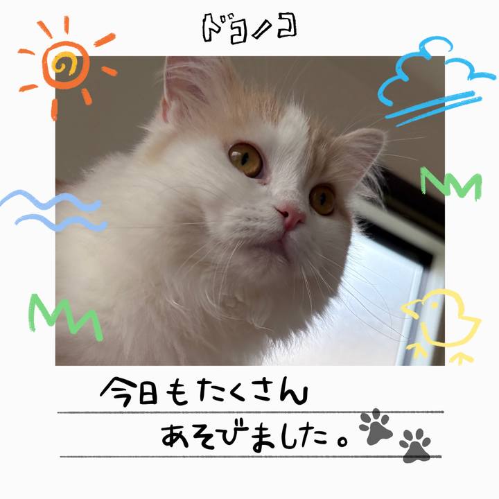 16261e14 a5a5 4bdc b2ee 4138d1cf05bf 1755304826780