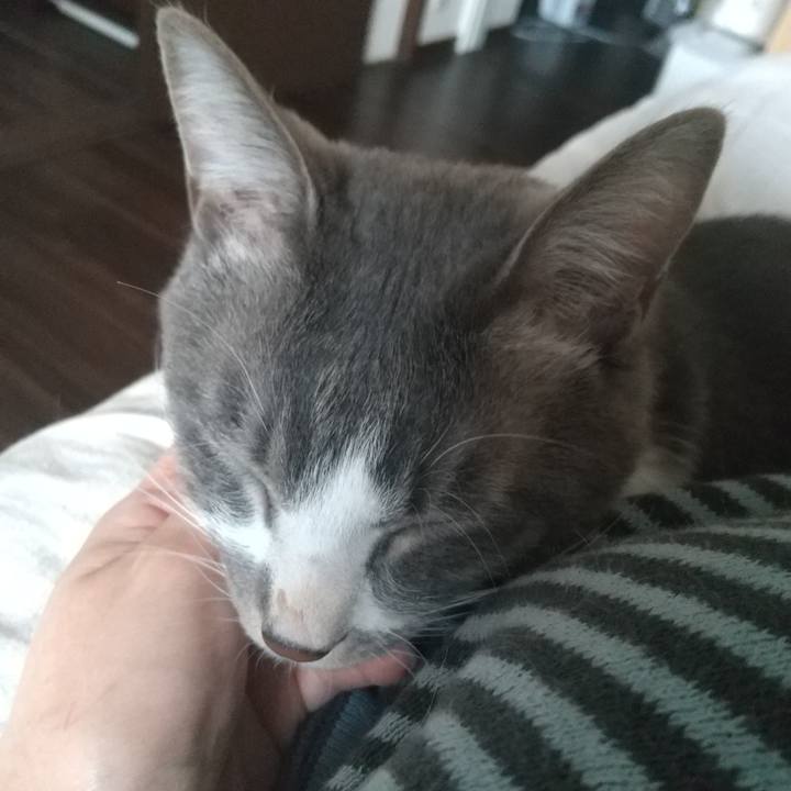 16261faa 8df9 40f6 a852 32e36328d06e 1619127129563