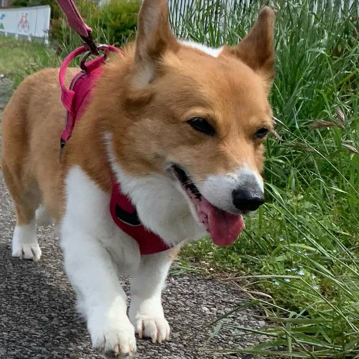 162641a5 4384 4ae1 8986 0b2847fb3431 1683337499008