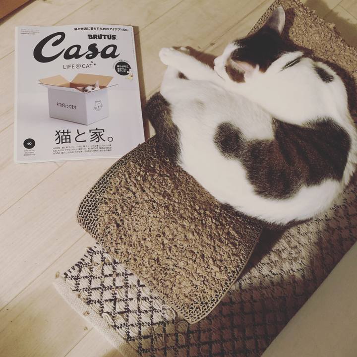 16267cf6 b587 41b8 af1b 39359235f813 1568288605531