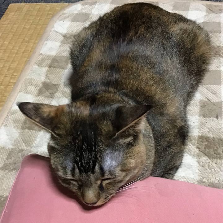 1626af25 9eb9 4745 8cb7 31ecaccaa283 1643620857375