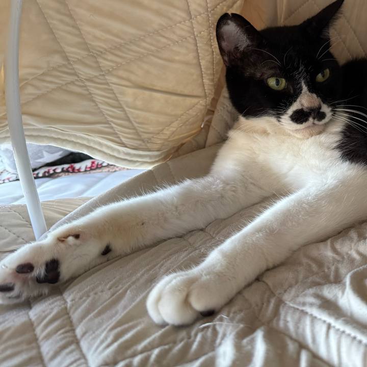 1626ba9c 7d76 42c3 b99a b53670661023 1753053783923