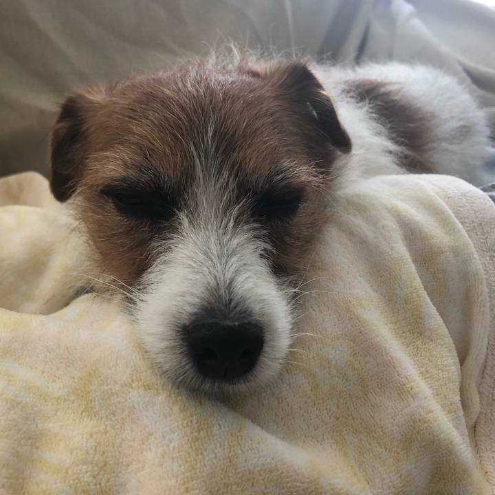 1626c3c2 6d46 4ea8 ad08 473c1788c151 1577937281033