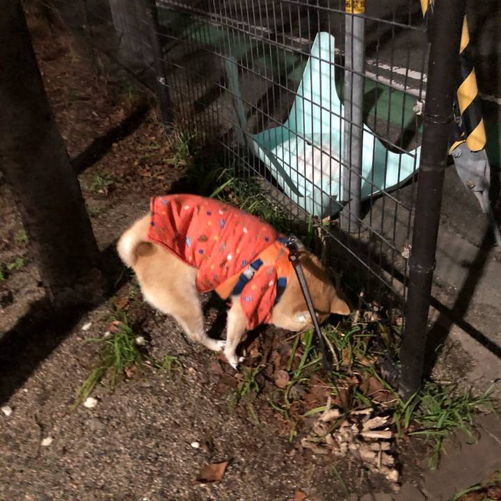 1626c55d 77db 4d6e 9bd9 1846bcff1ba8 1578530840679