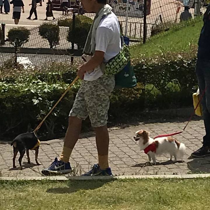 1626e3e2 a721 48d6 9e4a 751a66822815 1540725648524