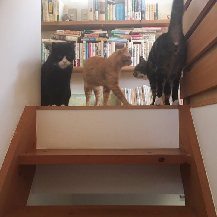 162761d8 48b3 4e2f 9ab8 4f27166d60eb 1558440578205