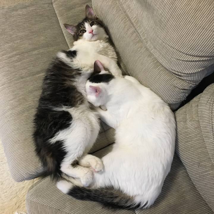 16278760 d36c 448a 9a3f d544dcdd7125 1665701430058