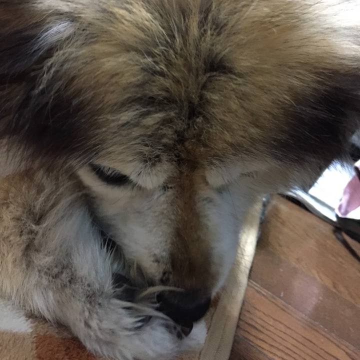 1627ad31 bf33 477e 8504 815fd1fa2816 1657458224952