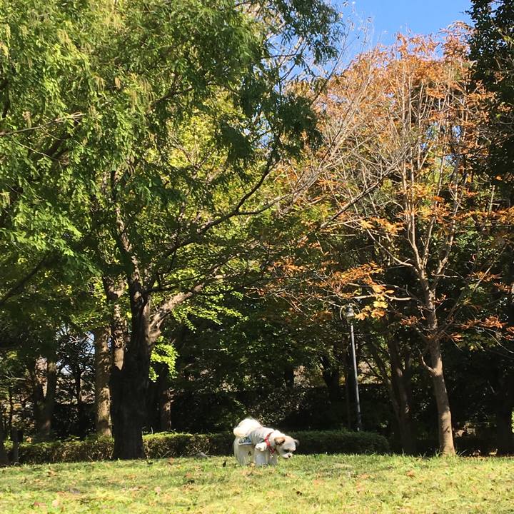 1627d2e1 a5d8 4de7 814b cde32acaed12 1509006628855