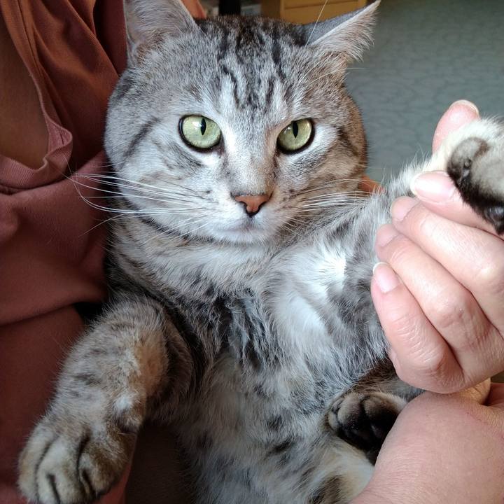 1627dd7f 8bd6 43d6 a0a7 51566369f09e 1676543136447