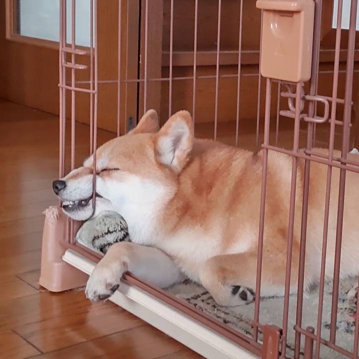 16284963 41b9 4158 855b a12d8ca3806f 1743054922026