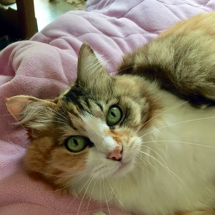 16285cb7 782b 4e2f ae09 409d3cfb8fea 1625196823819