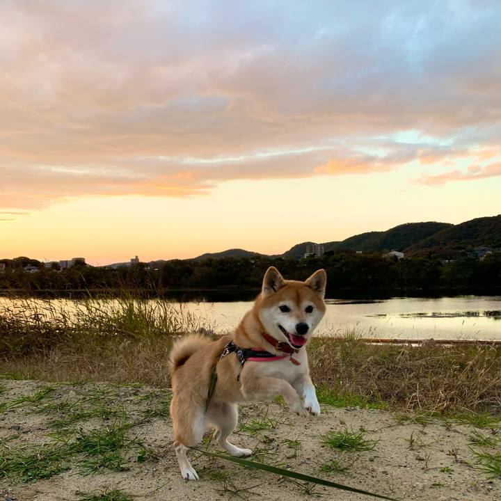 1628a1e7 c010 4fde b6c4 7886a6275ec4 1606637030465