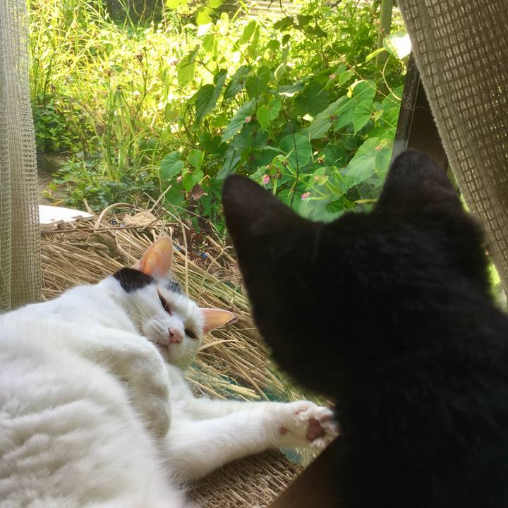 1628a39e c680 499f a859 ca84c241f0ac 1626851749122