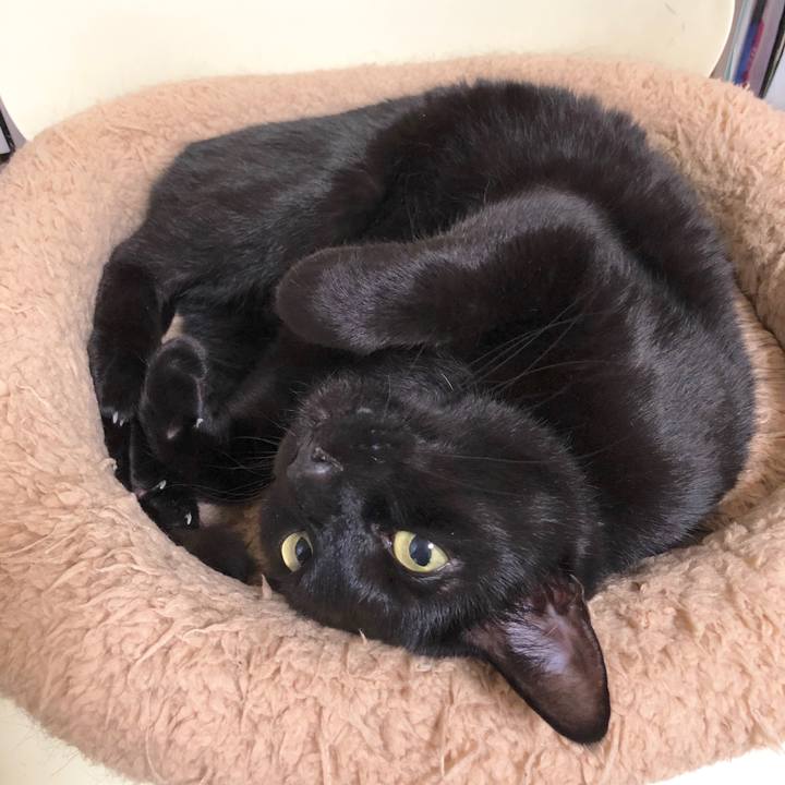 1628a53e 5acc 43ed 8b58 90b428861c28 1589113717541