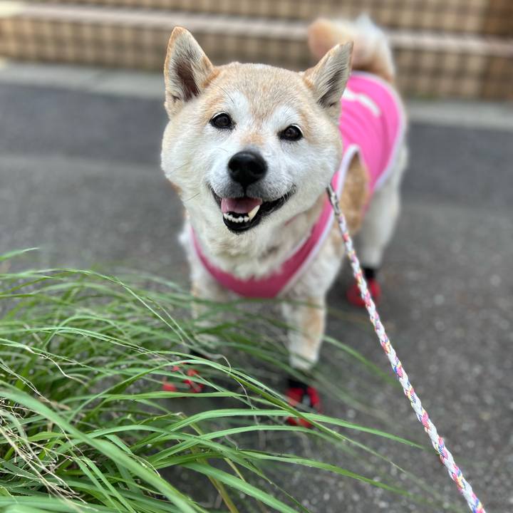 1629070d 53e1 45e9 be41 5be6e4ce5014 1747715310107