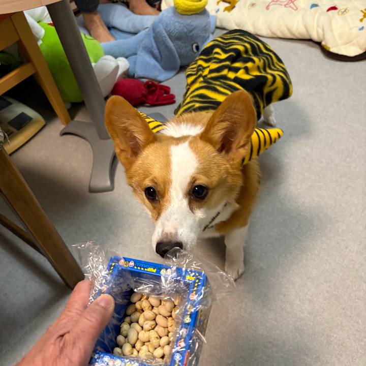 162908f3 3d53 4574 bac7 90bf620c3dc8 1770120696889