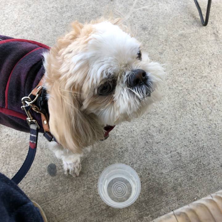 162925e7 5eae 438f a1e1 cbf80164dcf0 1523309898281