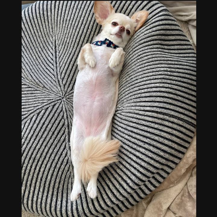 162940f3 a104 4d71 b1bc 9a4144396a2c 1756026059661