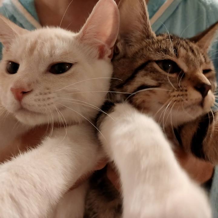 16294c6c c9de 4140 b8ed ebb976a2924a 1628851949184