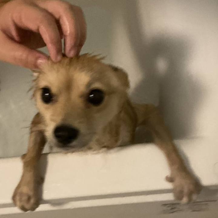 162976e0 941f 411a 8678 65c1546a74d8 1758011842863